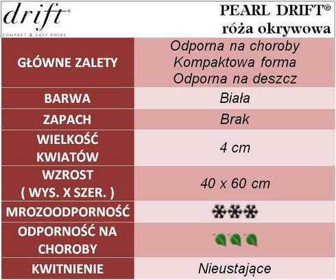Pearl Drift róże okrywowe gł. zal